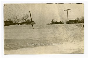 Image description is not available for PHO-264-653